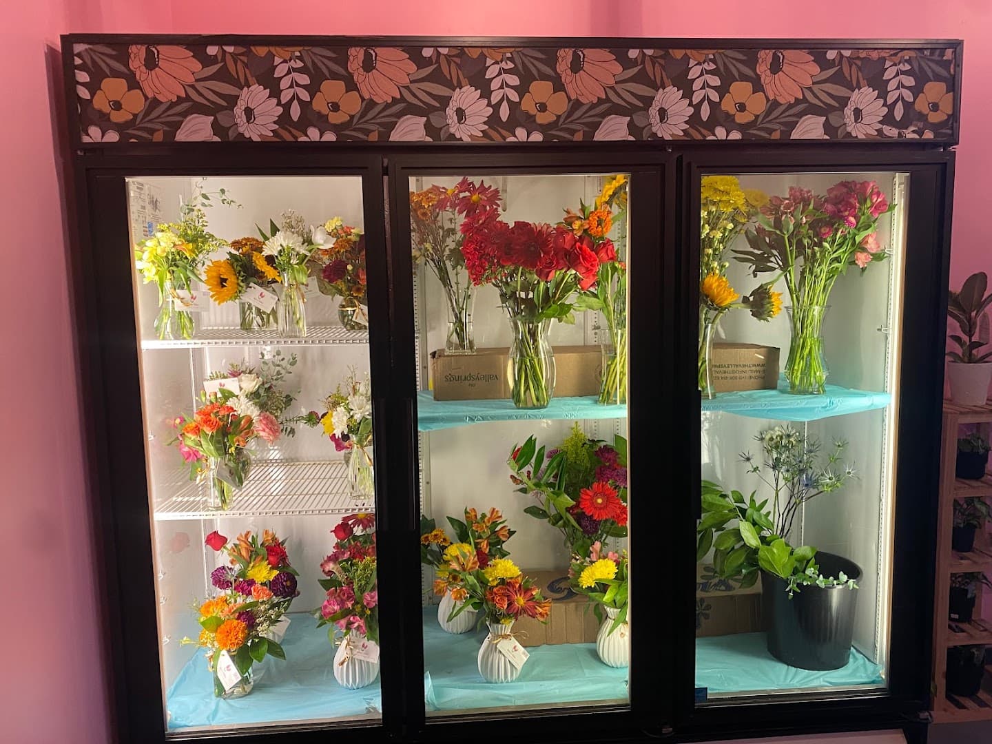 Adee's Tulips - Image 1