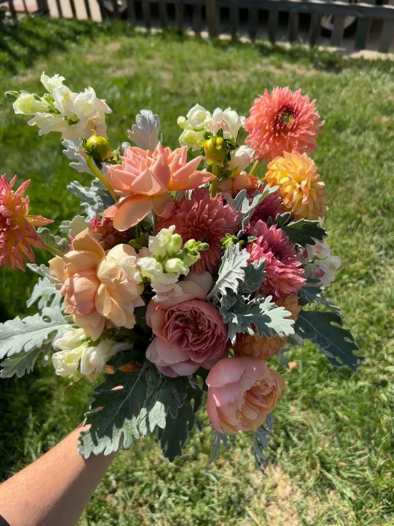 Sage and Holly - Image 1