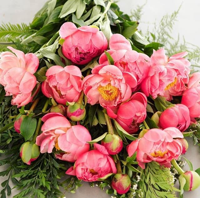 Bloomingsales - Image 1