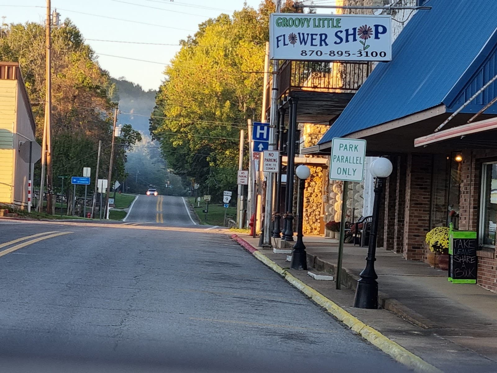 Groovy Little Flower Shop - Image 1