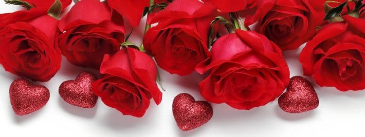 Floral Expressions - Image 1