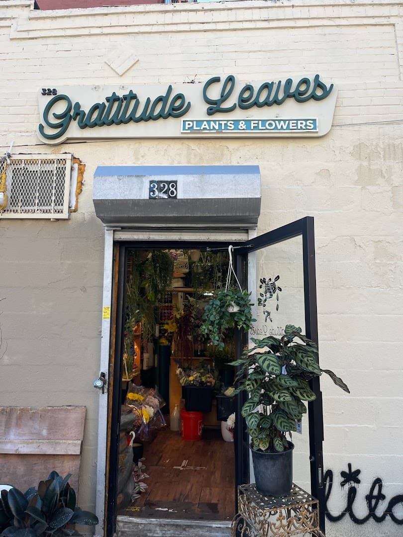 Gratitude Leaves - Image 1