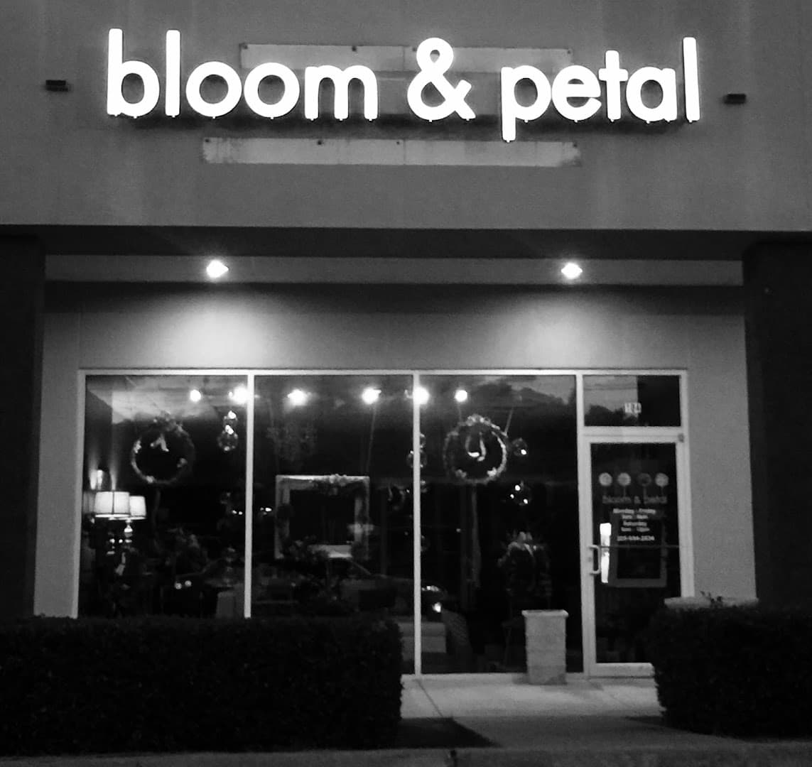 Bloom and Petal - Image 1