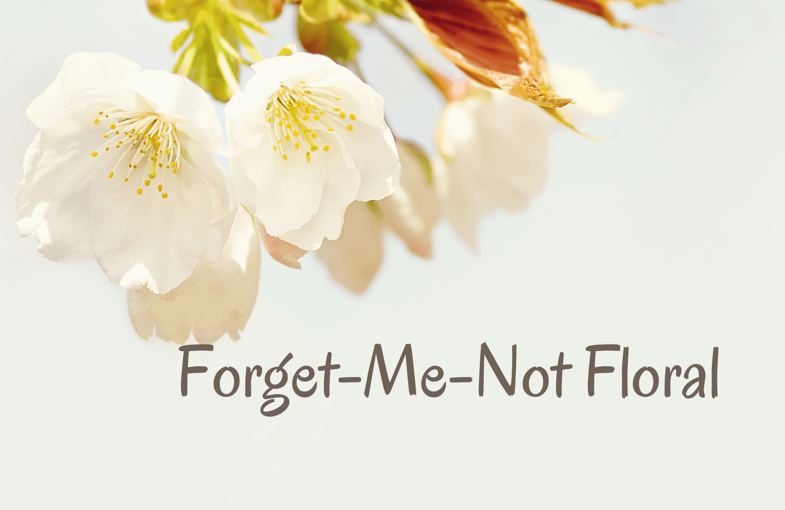 Forget-Me-Not Floral - Image 1