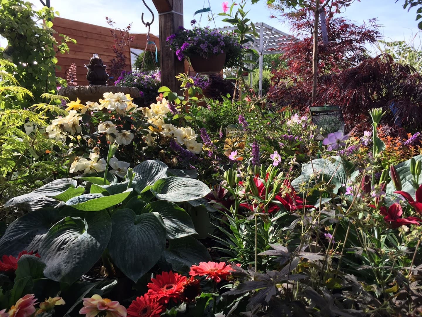 Broadview Landscaping & Nursery, Inc. - Image 1