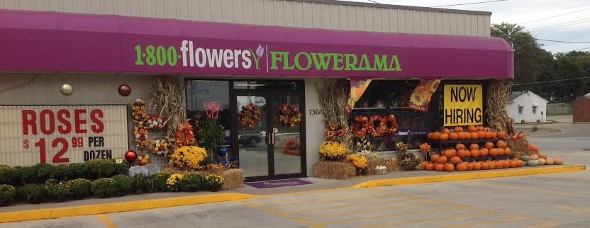 Flowerama - Image 1