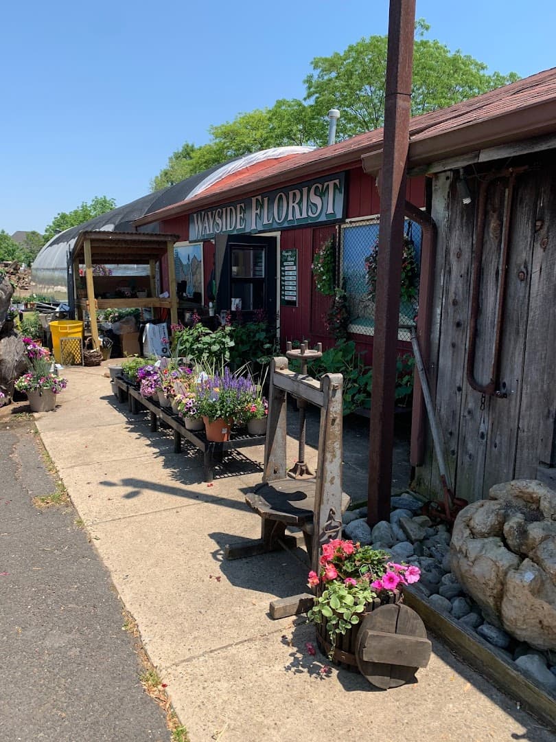 Blake Dimon's Wayside Florist - Image 1