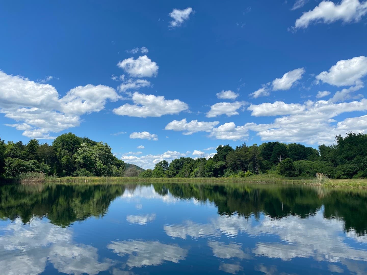 Sunfair Farm - Image 1