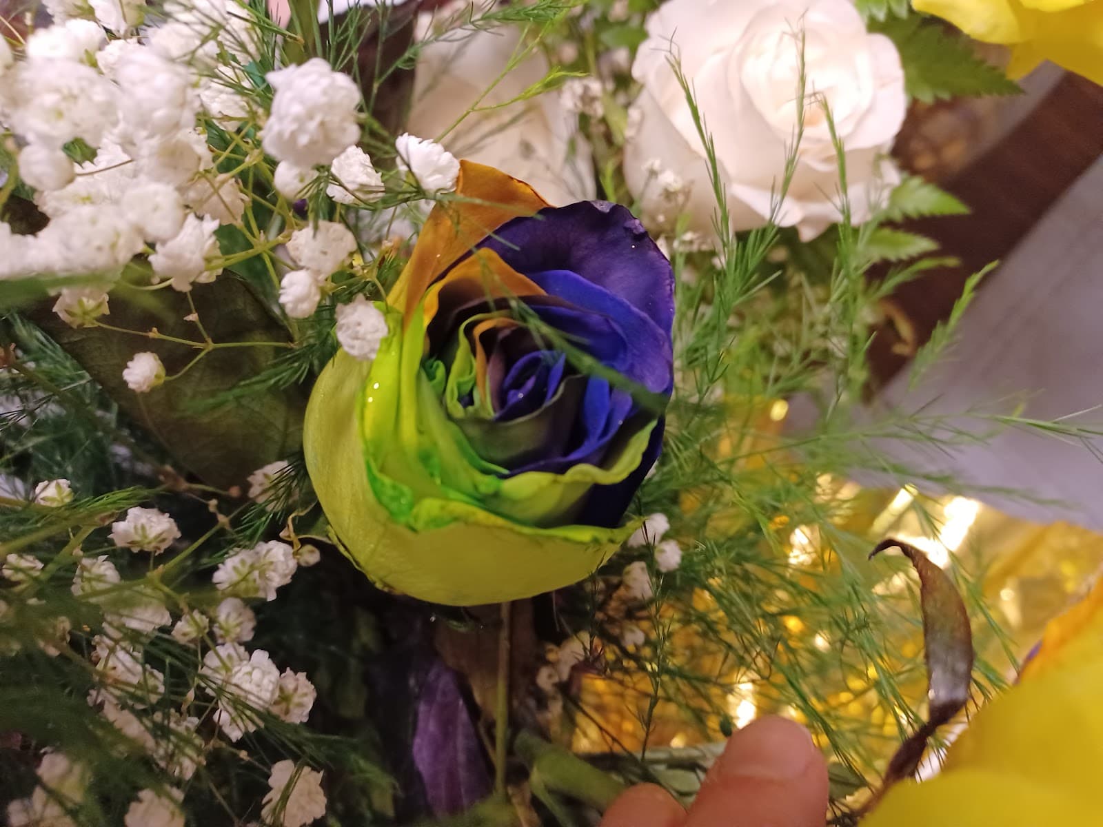 Blooming Orchid Florist - Image 1