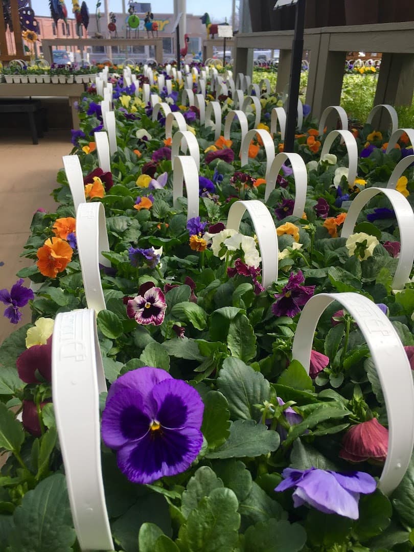 Heights Flowers - Image 1