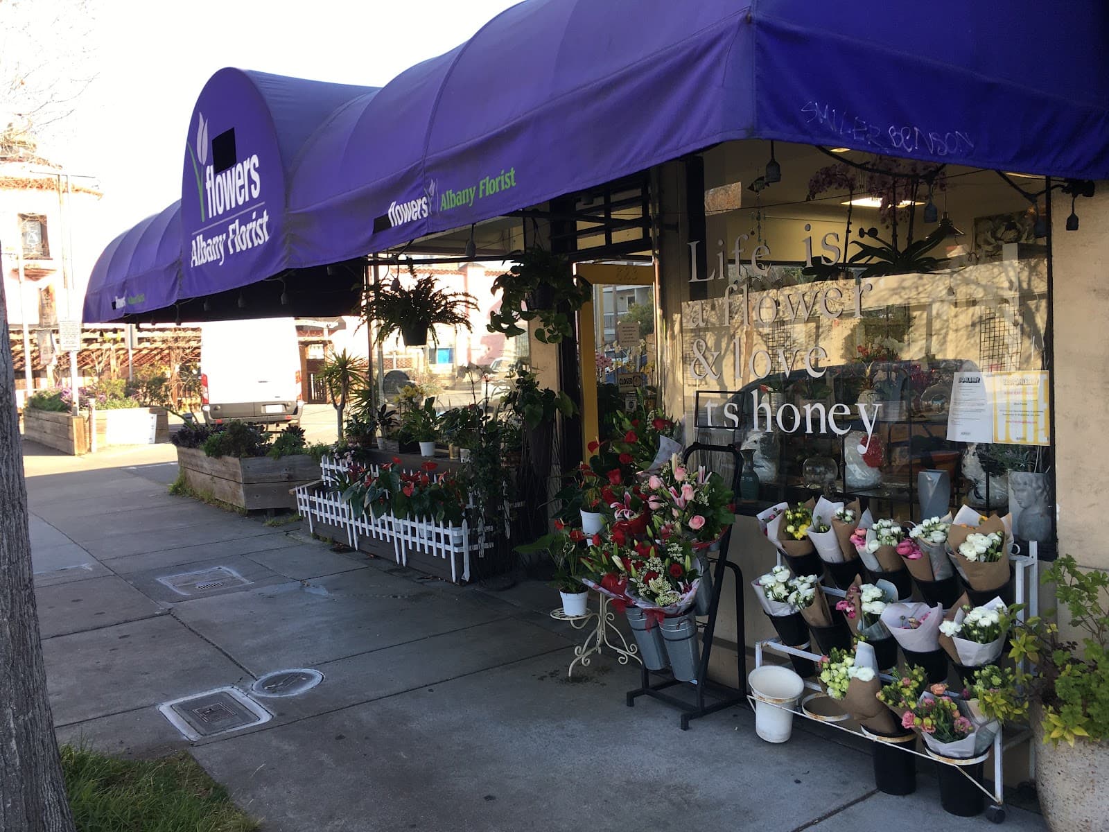 Albany Florist - Image 1