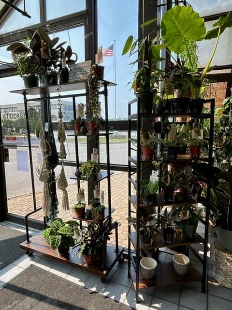 Prescott's Florist LLC - Image 1