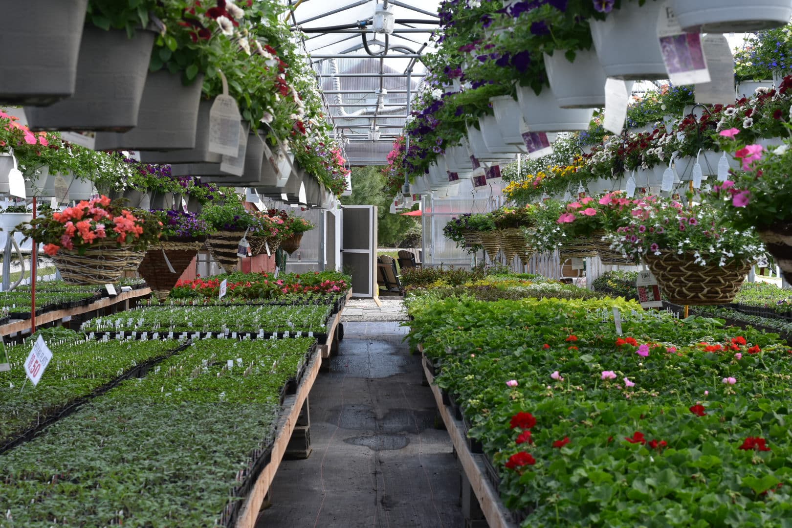 The Flower Market Greenhouse - Image 1