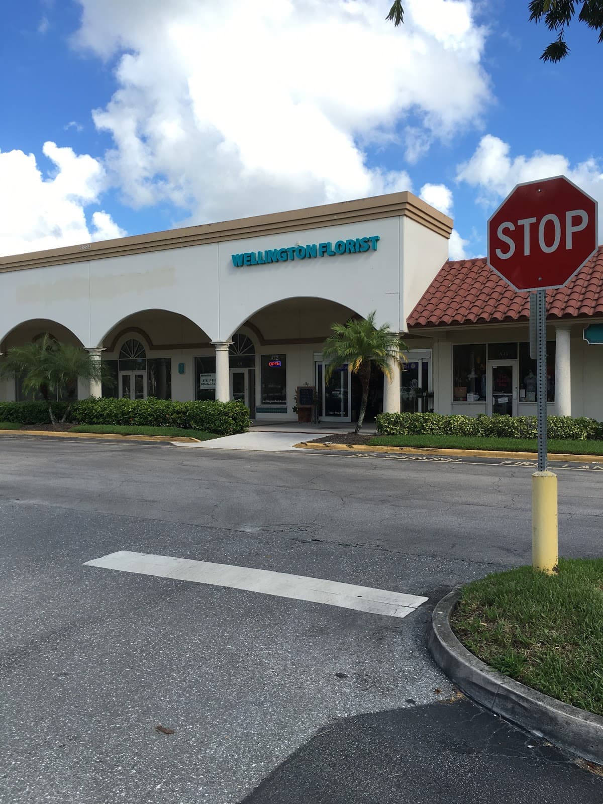 Wellington Florist - Image 1