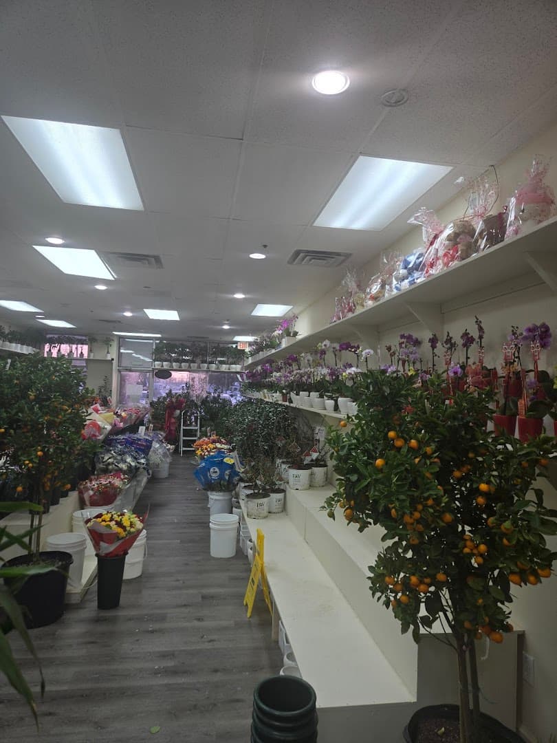 WFLOWER - Image 1
