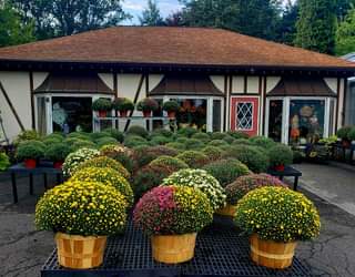 Langanke's Florist - Image 1