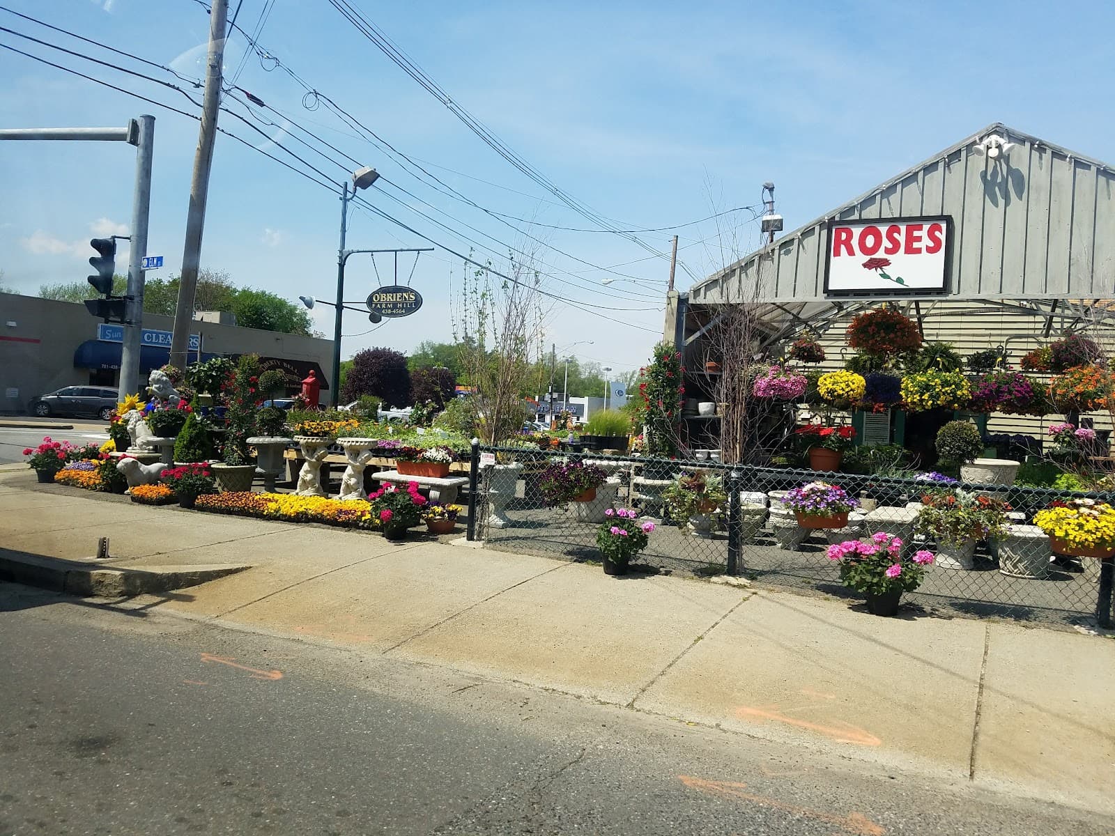 O'Brien's Farm Hill Florist & Garden Center - Image 1