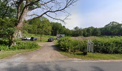 My sweet P's Flower Farm - Image 1