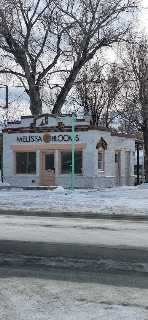 Melissa Blooms - Image 1
