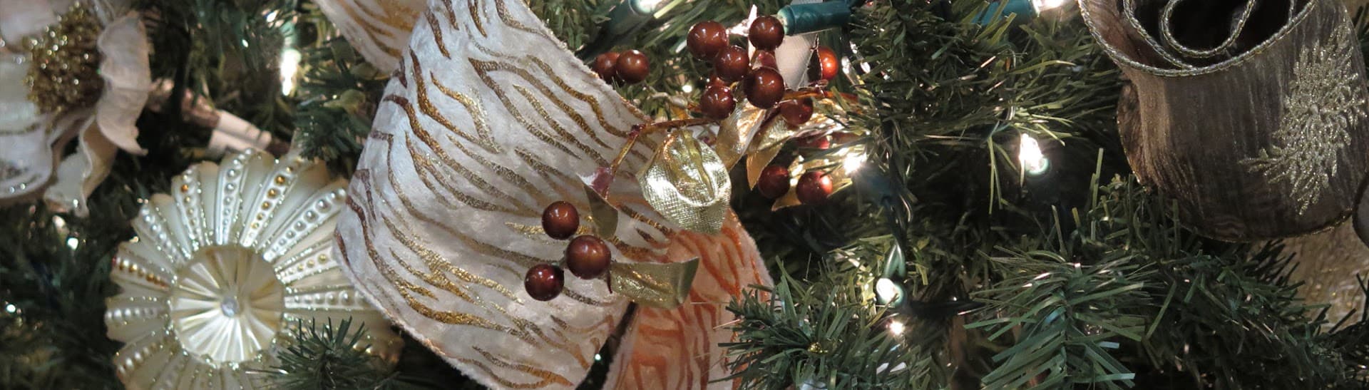 Down To Earth Living - Image 1