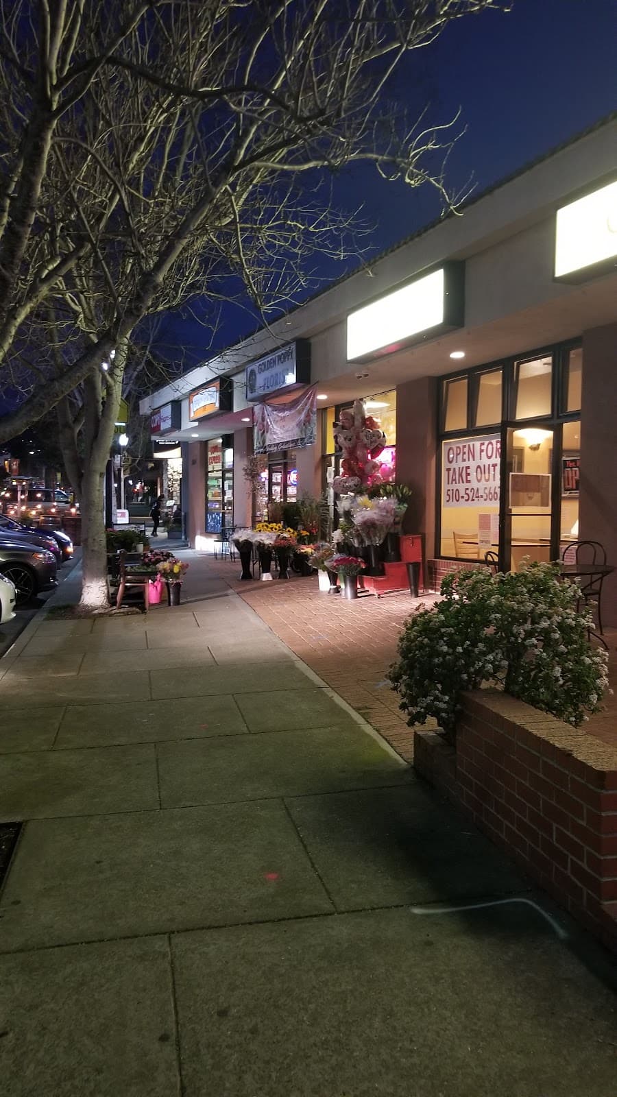 The Golden Poppy - Image 1