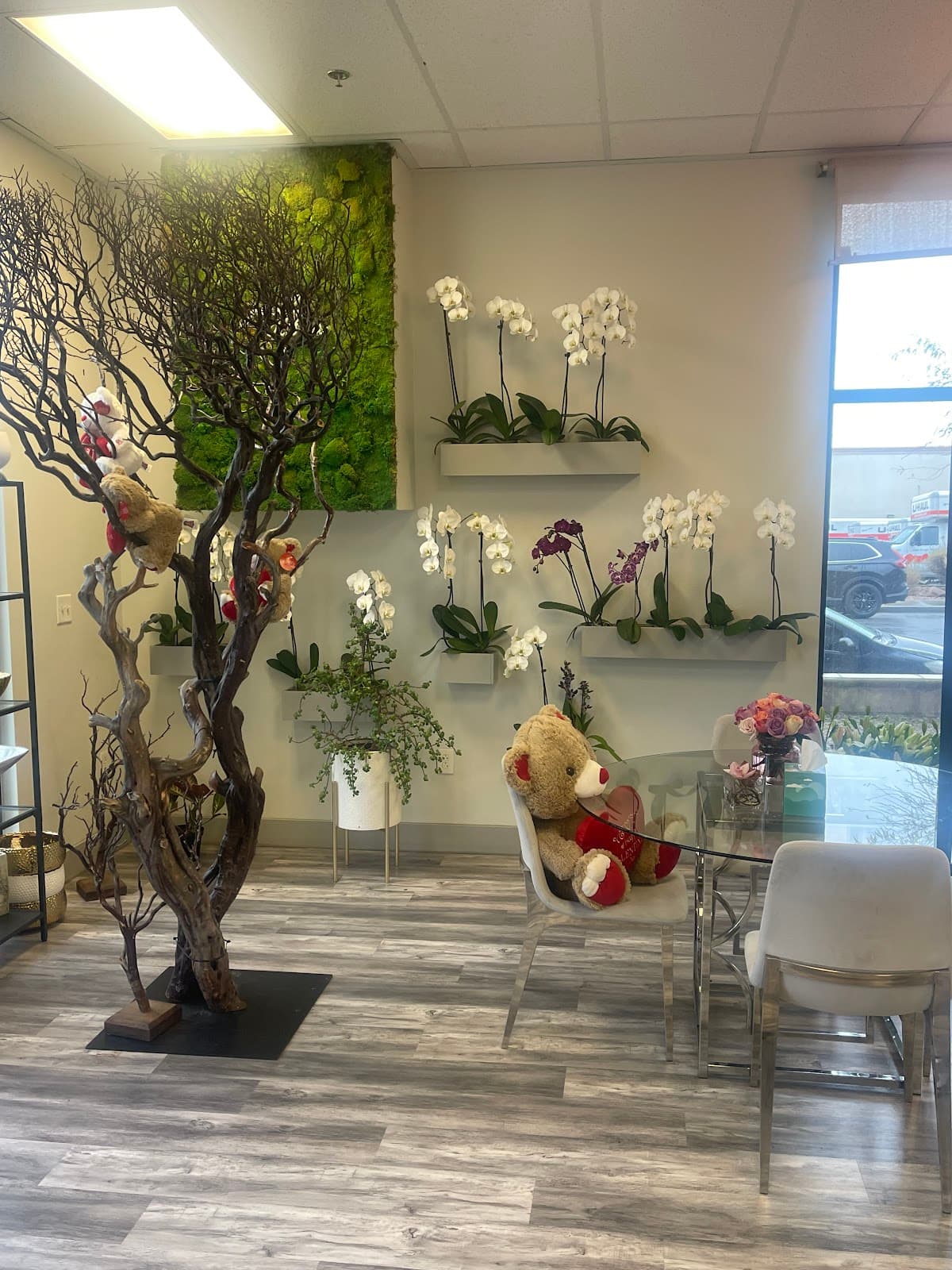 House Of Flowers - Image 1