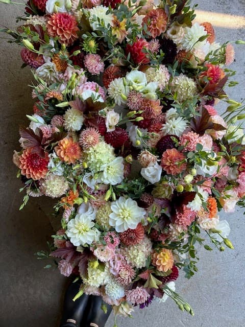 Black Dog Blooms - Image 1