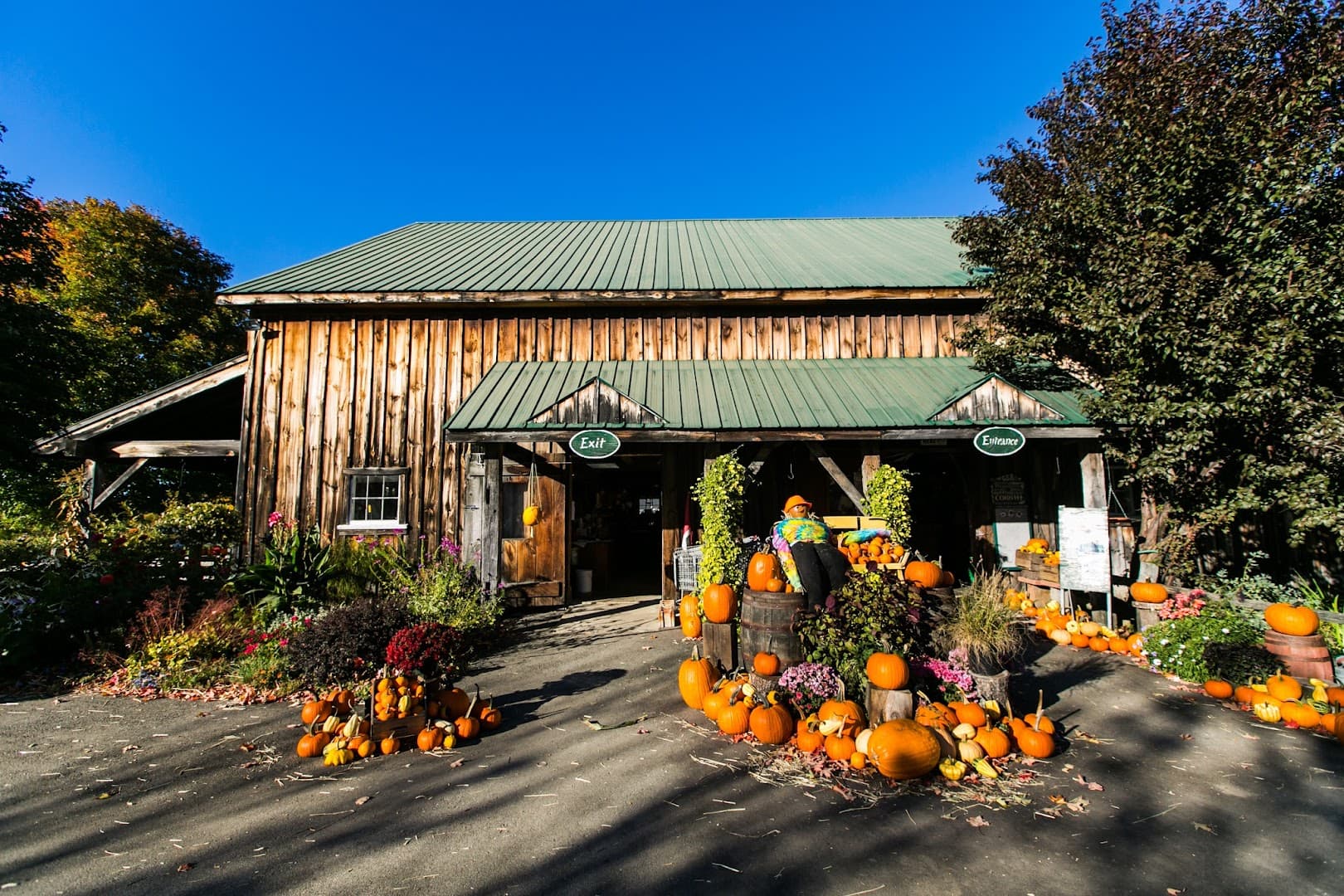 Beans & Greens Farm - Image 1