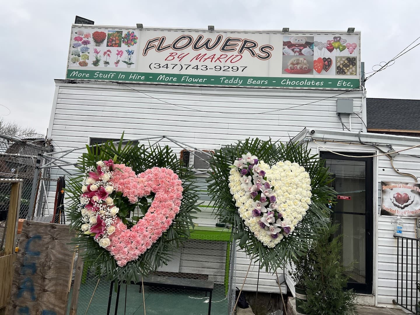 Flowers by Mario corp. - Image 1