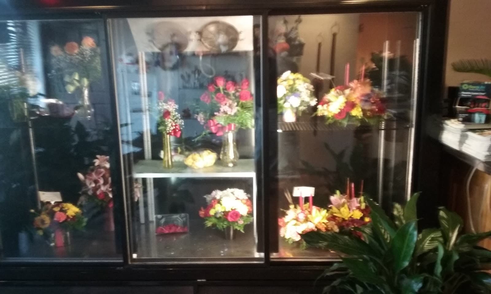 Rose's Florist Studio - Image 1