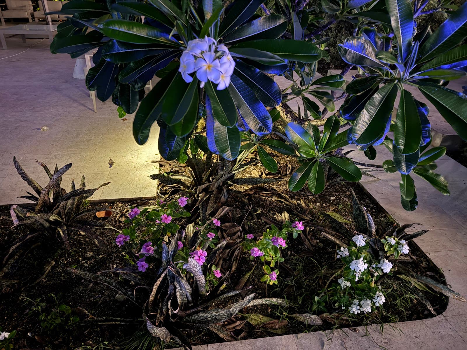 Petrovichnikov Floral Arangement - Image 1