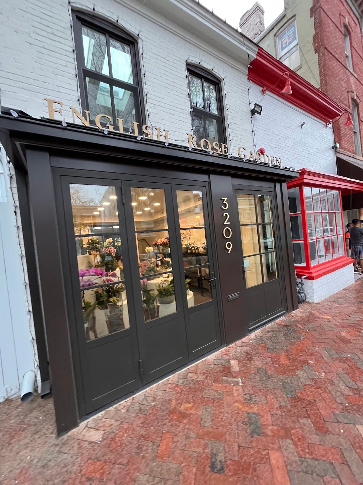 English Rose Garden💐 - Image 1