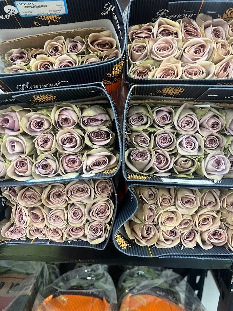 Bloom Connection LLC - Image 1