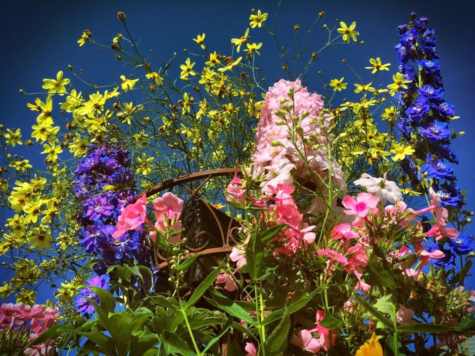 All Seasons Garden & Floral - Image 1