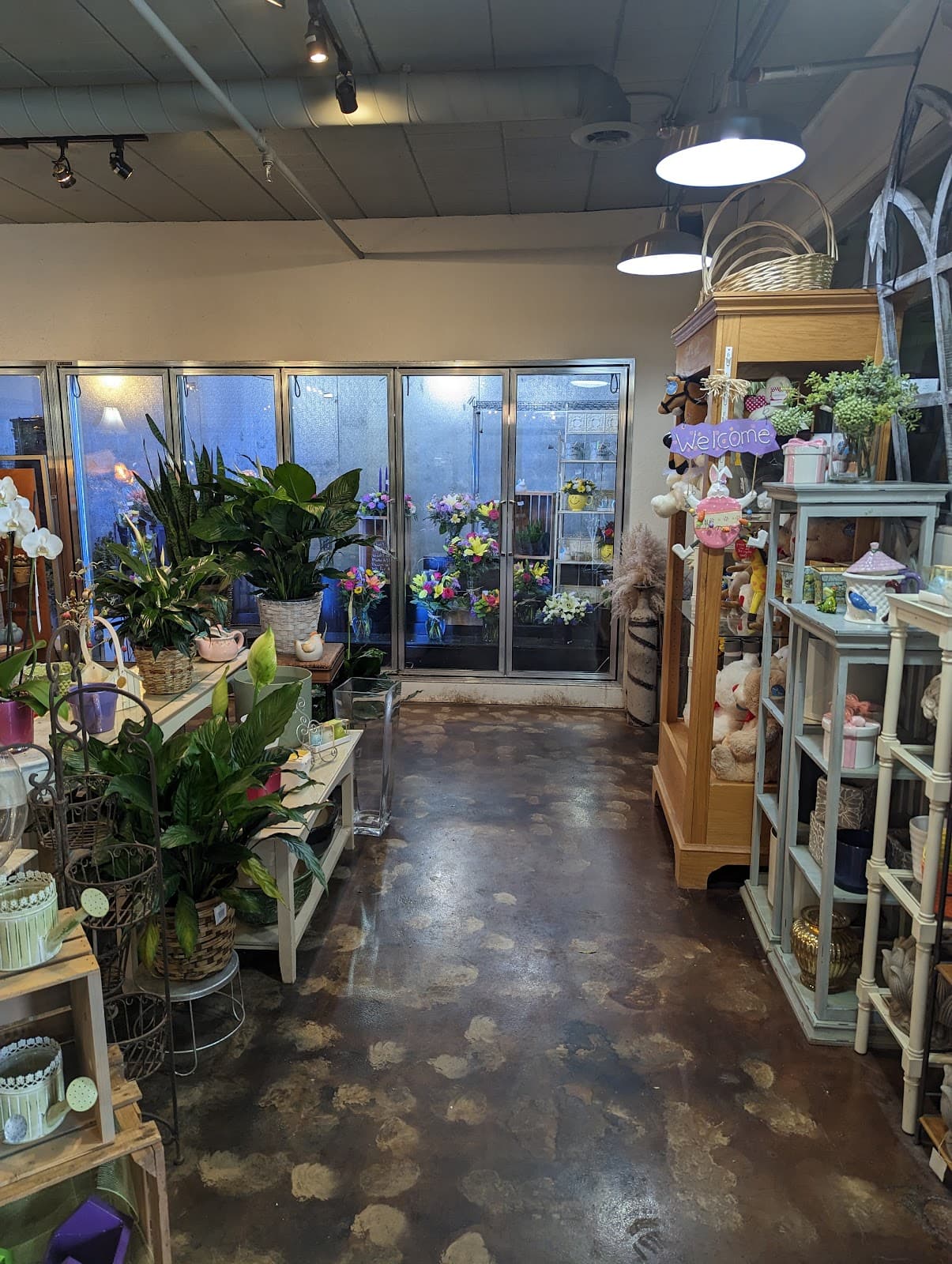 Century Floral - Image 1