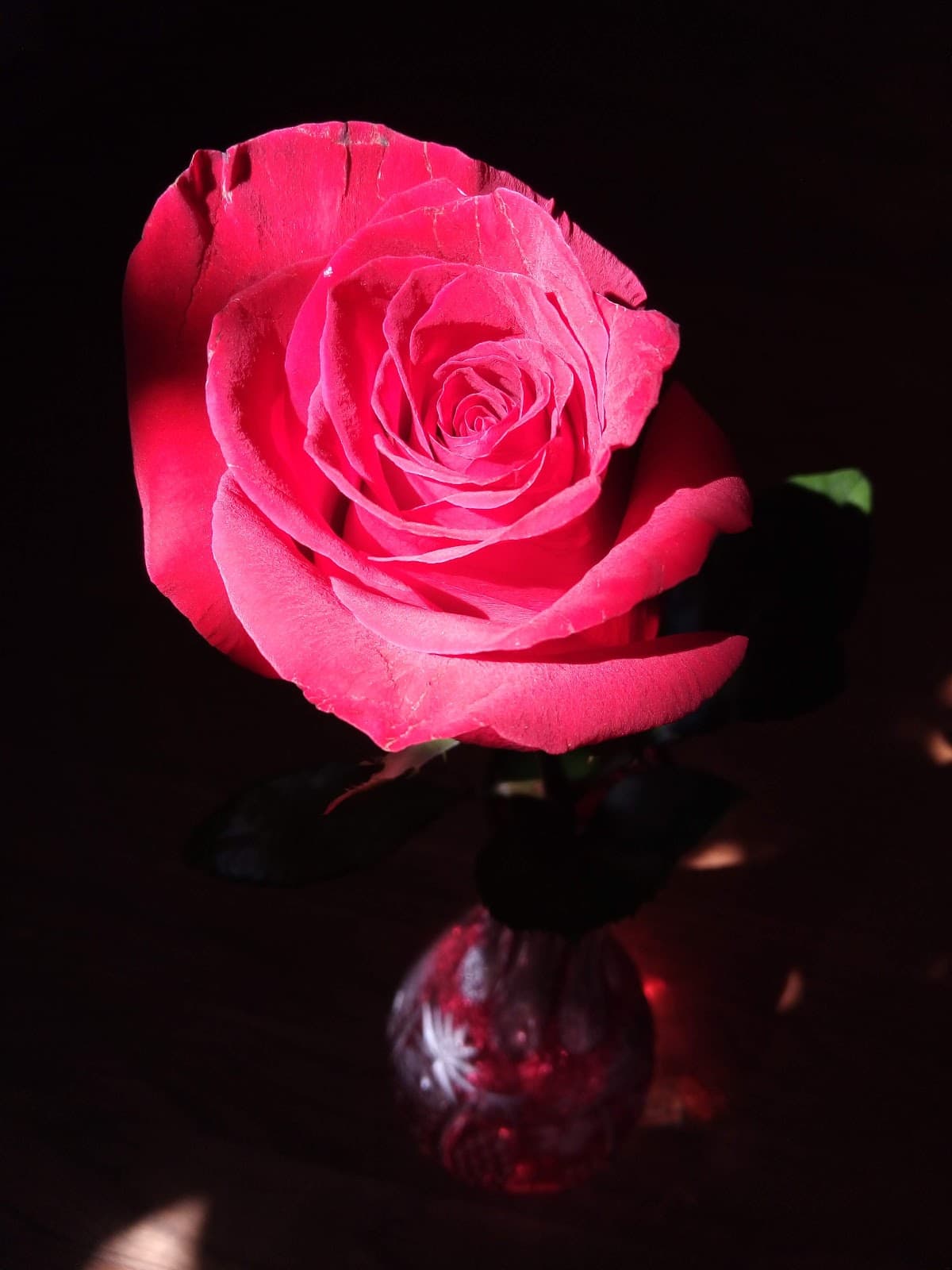 Gingers Flowers & Gifts - Image 1