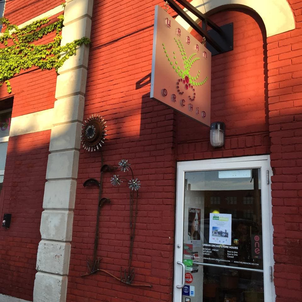 Urban Orchid Ohio City - Image 1