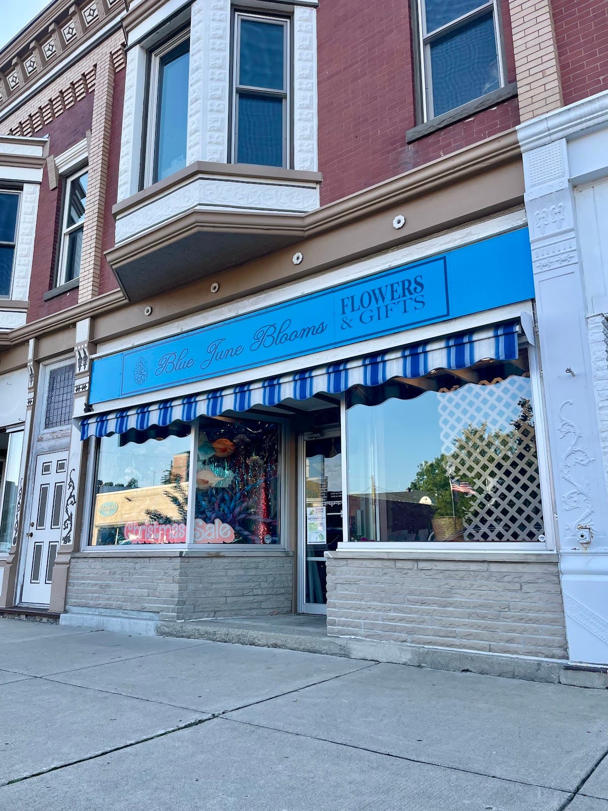 Blue June Blooms - Image 1