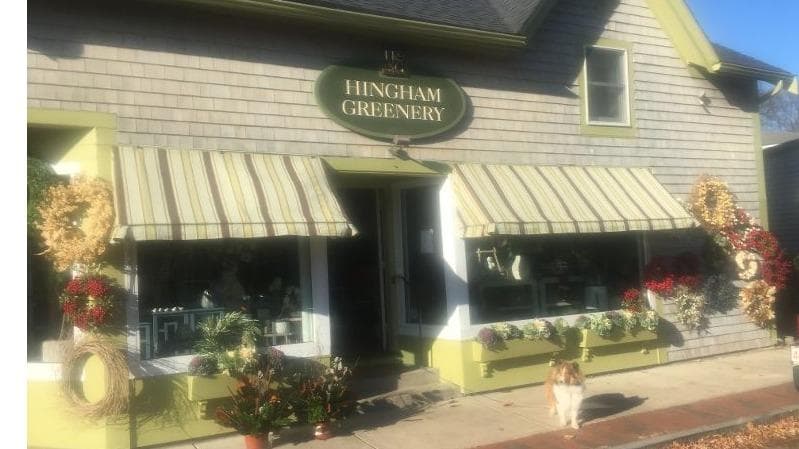 Hingham Greenery - Image 1