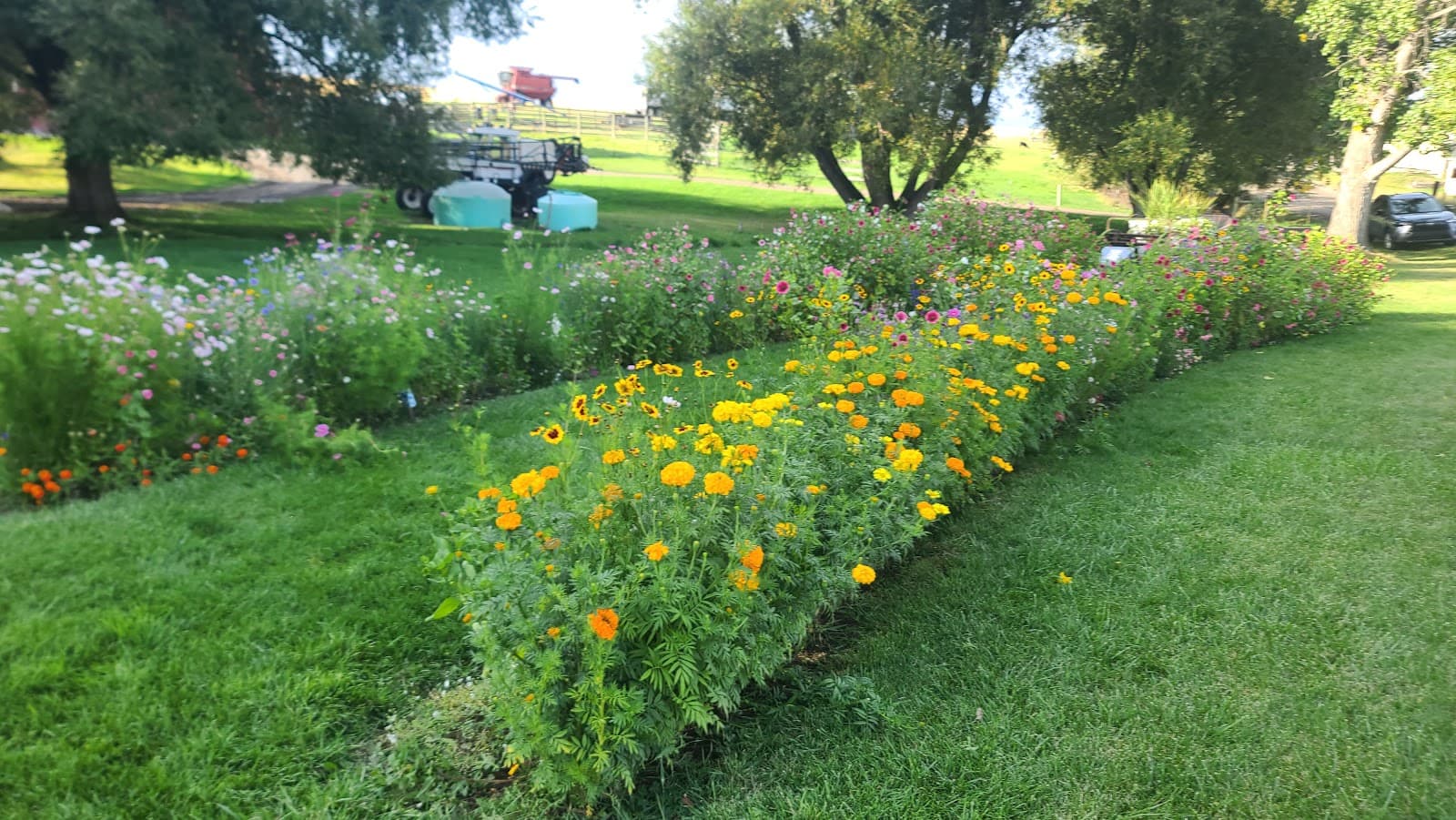 U-Pick flowers farm - Image 1