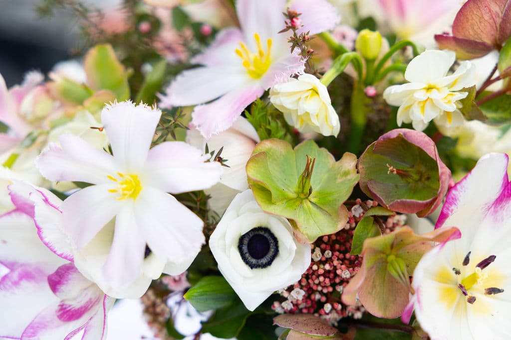 Moonlight Blooms Farm - Image 1