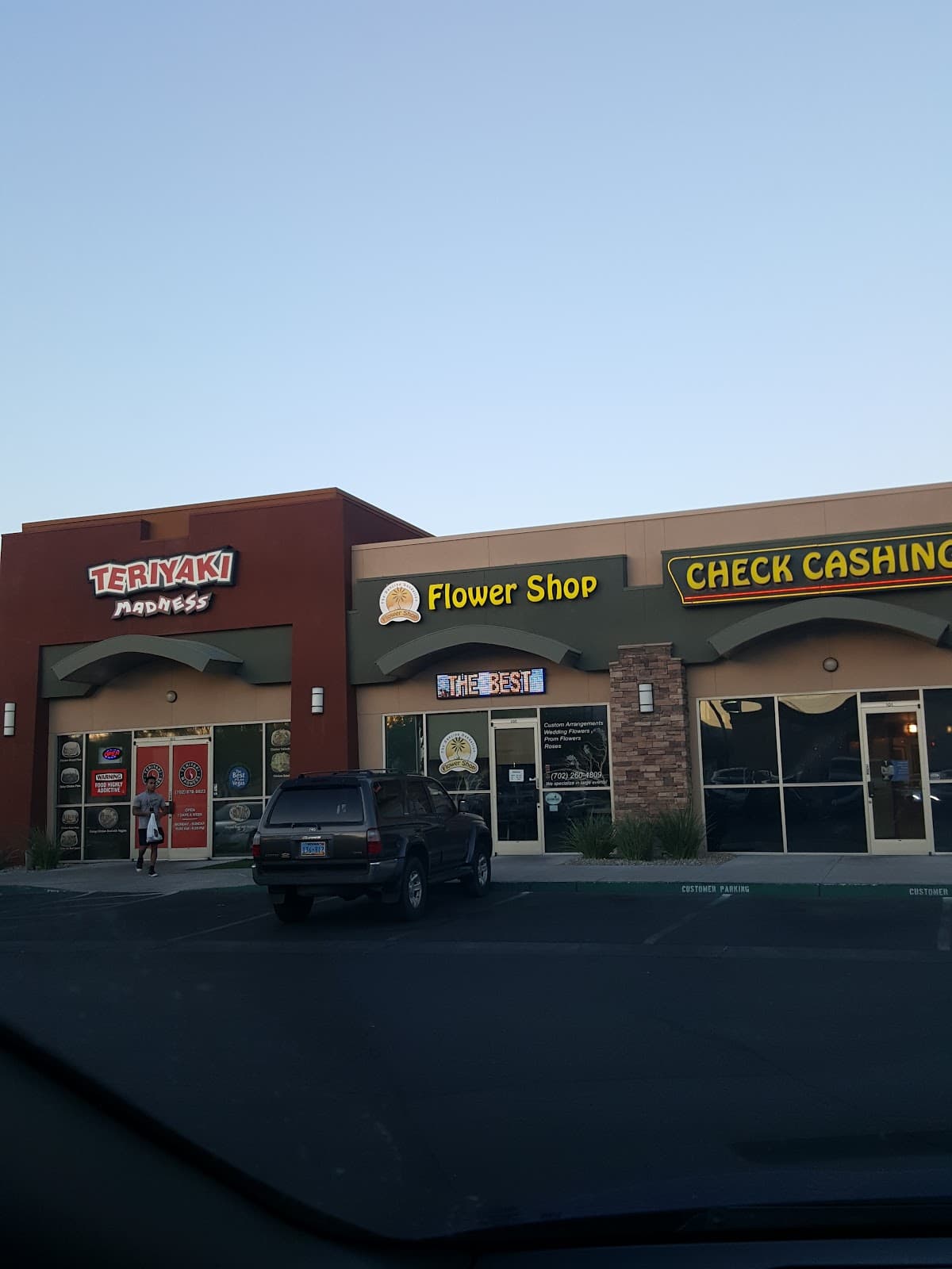 The Dancing Dandelion - Image 1