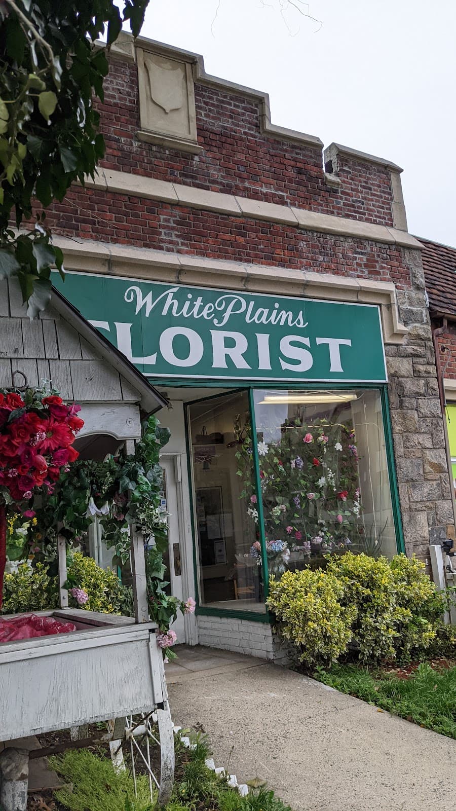 White Plains Florist - Image 1