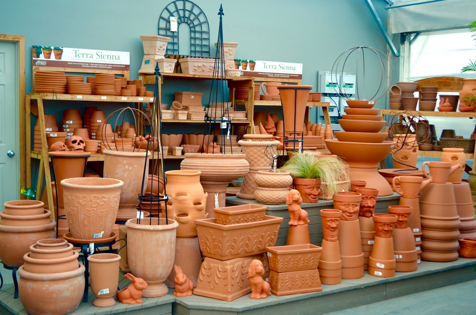 Story's Nursery Inc - Image 1