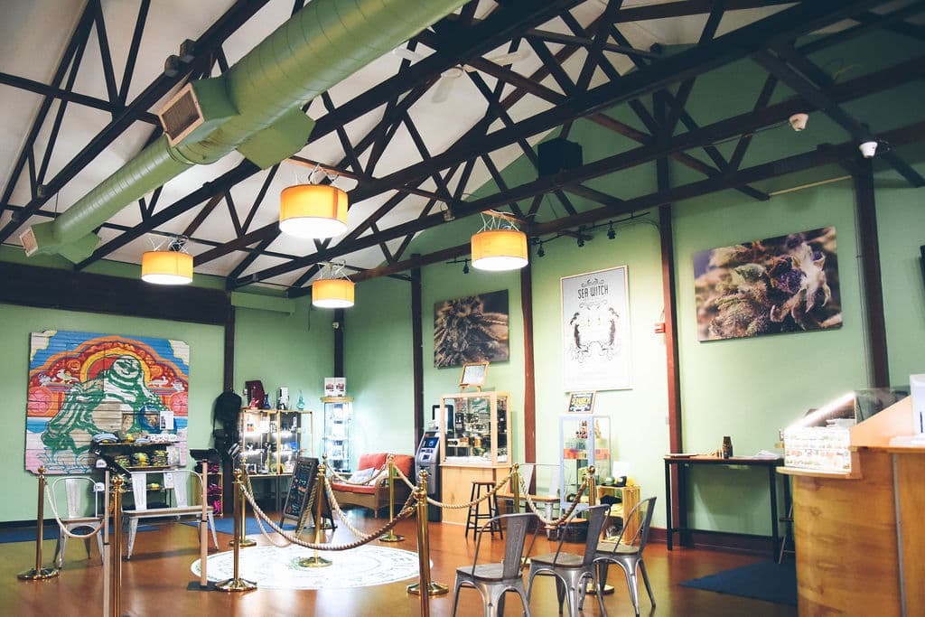 Newport Cannabis Company - Image 1