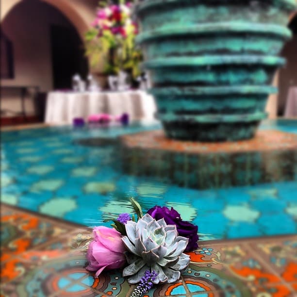 Kimura Plus - Image 1