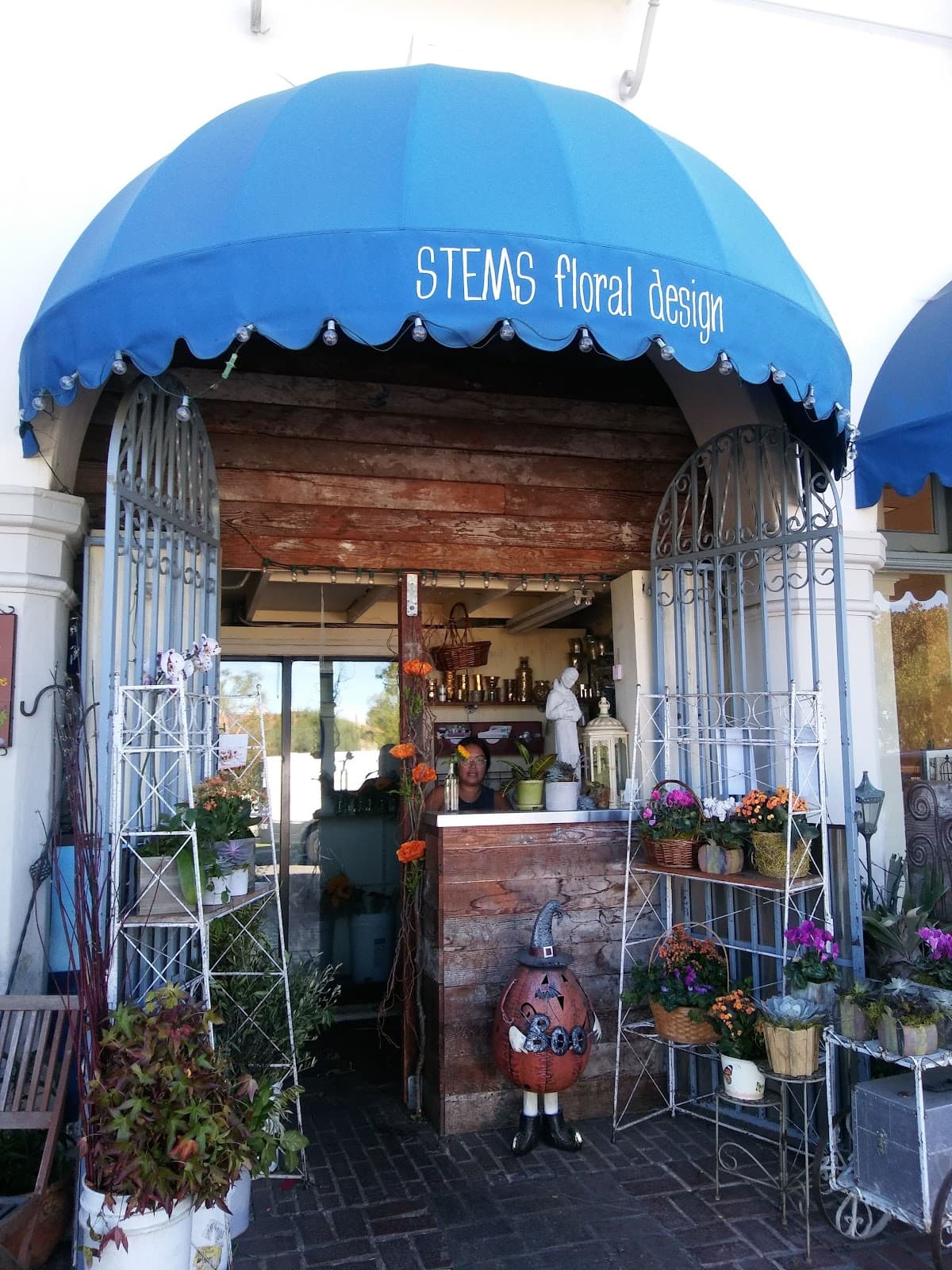 STEMS floral design - Image 1