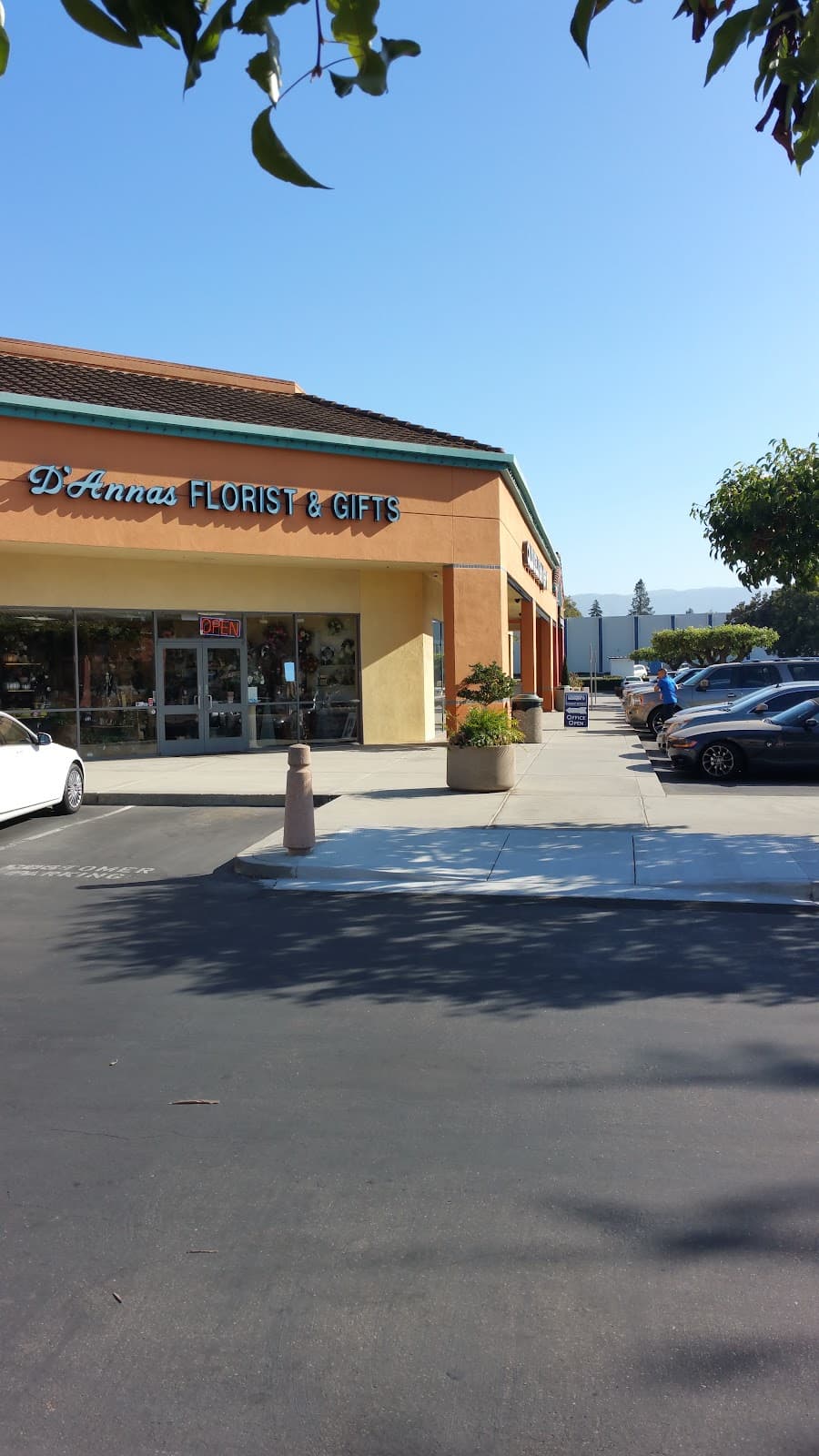 D'anna's Flowers & Gifts - Image 1