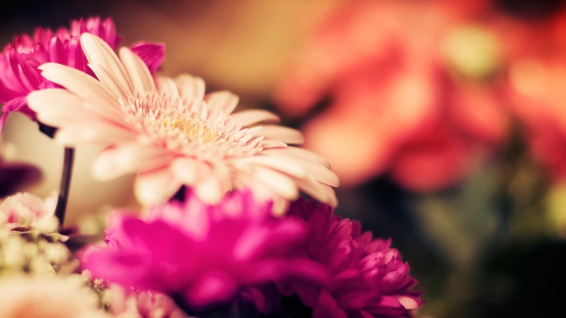 Floral Inspirations - Image 1