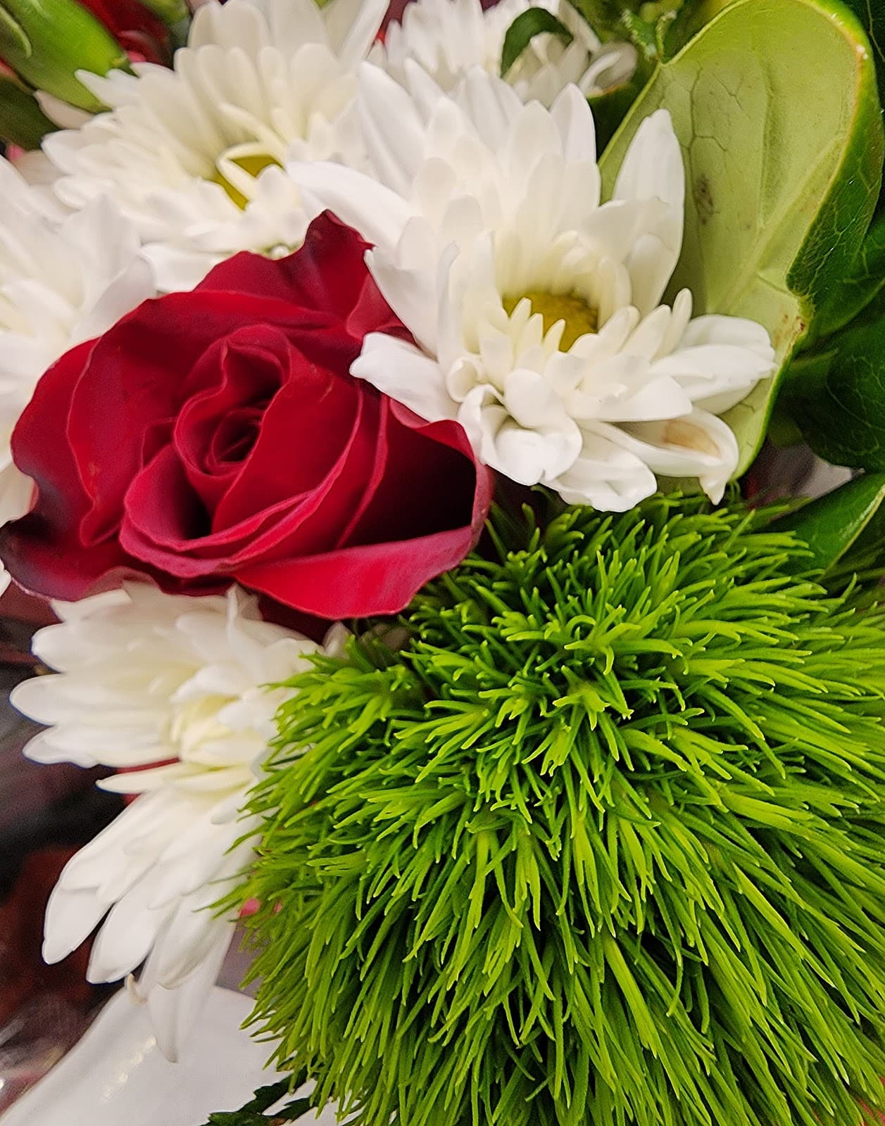 Kroger Floral - Image 1